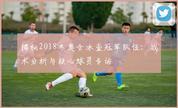 揭秘2018冬奥会冰壶冠军队伍:战术分析与核心球员专访