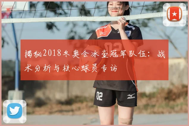揭秘2018冬奥会冰壶冠军队伍:战术分析与核心球员专访